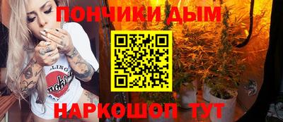гидра Будённовск