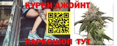 гидра Будённовск