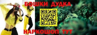 гидра Будённовск