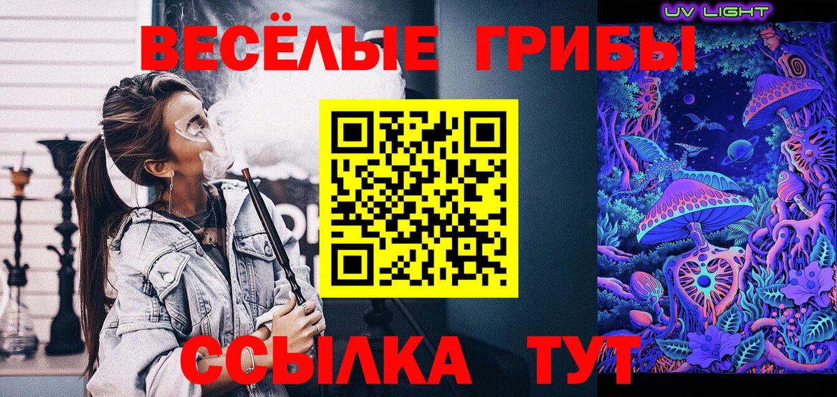 даркнет сайт  Псилоцибиновые грибы MAGIC MUSHROOMS  Вход с VPN  Корсаков 